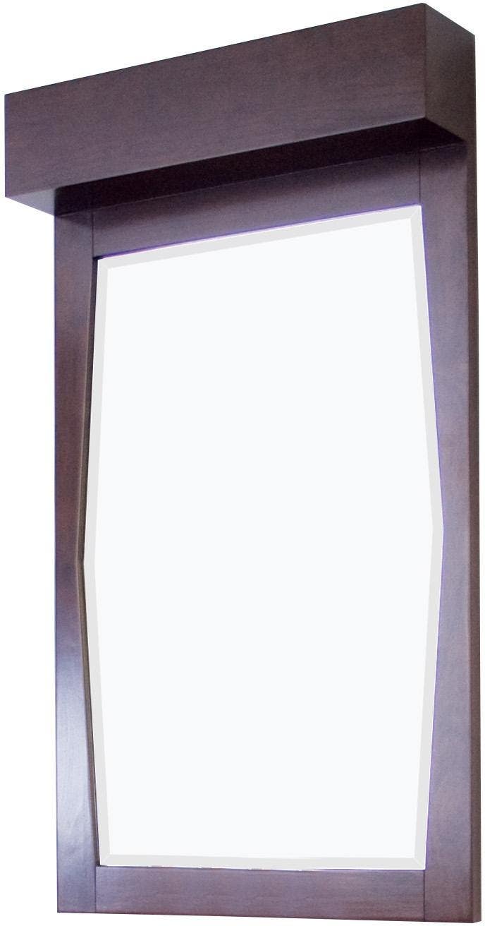 American Imaginations AI-276 22.55-in. W x 39-in. H Transitional Birch Wood-Veneer Wood Mirror In Walnut