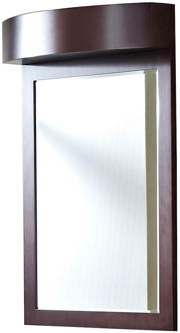 American Imaginations AI-338 24-in. W x 36-in. H Transitional Birch Wood-Veneer Wood Mirror In Coffee