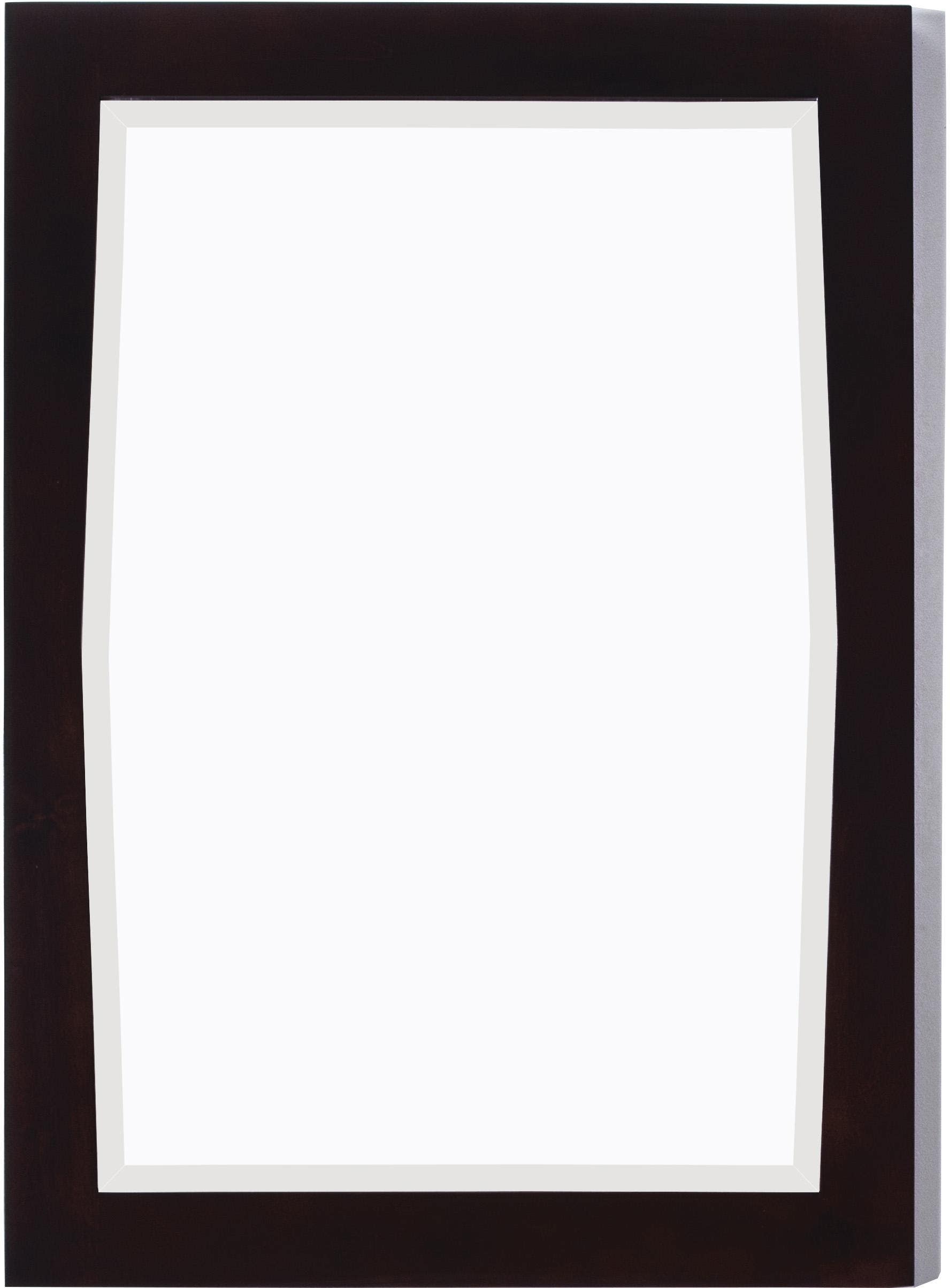American Imaginations AI-400 24-in. W x 34-in. H Transitional Birch Wood-Veneer Wood Mirror In Antique Walnut