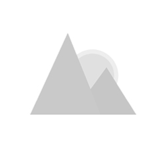 Locinox H-METAL Mortise Lock For Ornamental Gates