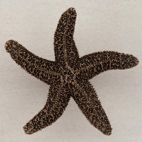 Acorn DPK Natural Starfish Cabinet Knob, 2-1/4" x 2-1/4"