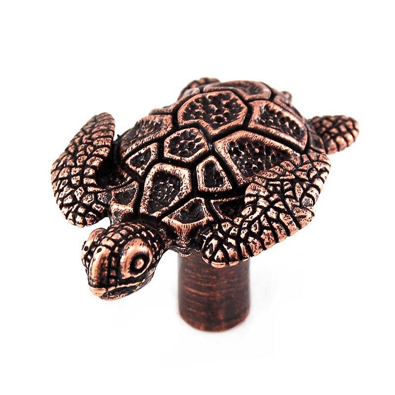 Vicenza K1060 Pollino Wetlands Knob