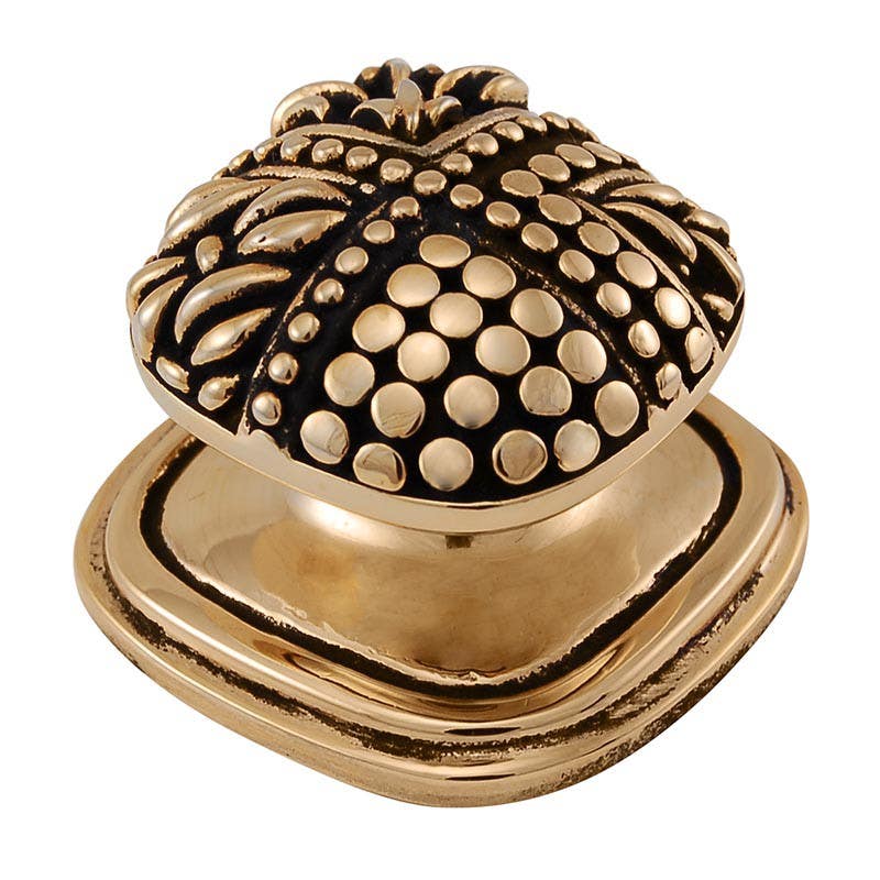 Vicenza K1135 Medici Contemporary Square Knob