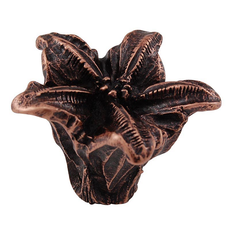 Vicenza K1201 Carlotta Floral Knob