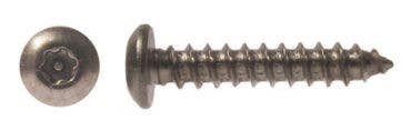 Burns Manufacturing SEC35 Torx Security Screw