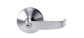 Value Brand EX100 Lever Trim, Cortland Lever