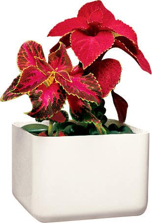 Peter Pepper R Curvilinear Fiberglass Planter PPP Finish