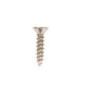 Pamex HWS 10 x 1" Flat Head Wood Screws For 3.5" x 3.5" Commercial Hinges / 4" x 4" Residential Spring Hinges (Price Per Bag, 100 pieces/bag)