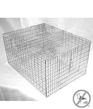 Bird B Gone BMP-SP2C Sparrow Trap with Two Chambers