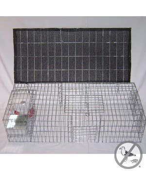 Bird B Gone BMP-SW-SP-SFW Pigeon Trap with Shade, Food & Water Containers