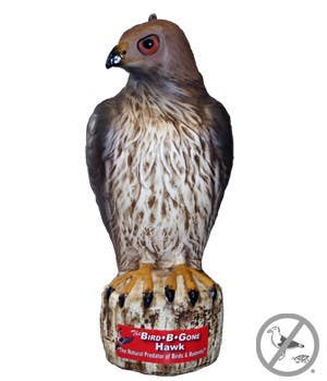 Bird B Gone RTH1 Red Tail Hawk Decoy
