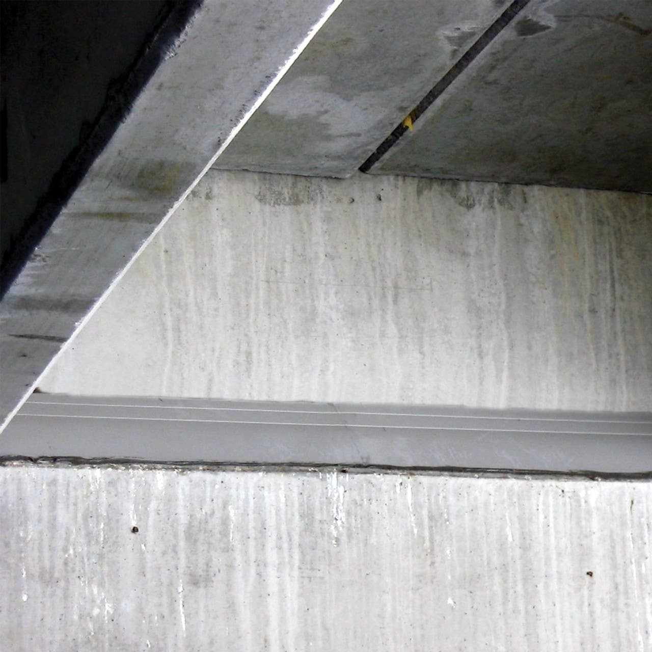 Bird B Gone SLP Bird Slope 4'