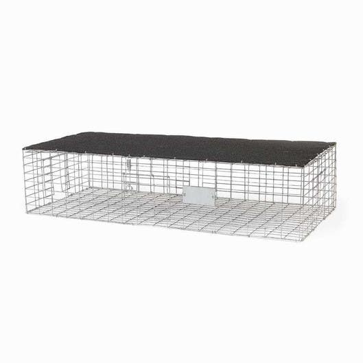 Bird B Gone BMP-SW-CP-S Collapsible Pigeon Trap With Shade