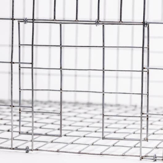 Bird B Gone BMP-PSCP Pigeon Trap Collapsible