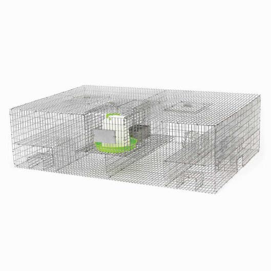 Bird B Gone BMP-SW-SSP3-WF Sparrow Trap - SP3 W/Food & Water Pans
