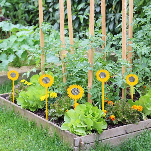 Bird B Gone MMSFL-6 Sunflower Stakes - 6 Pack