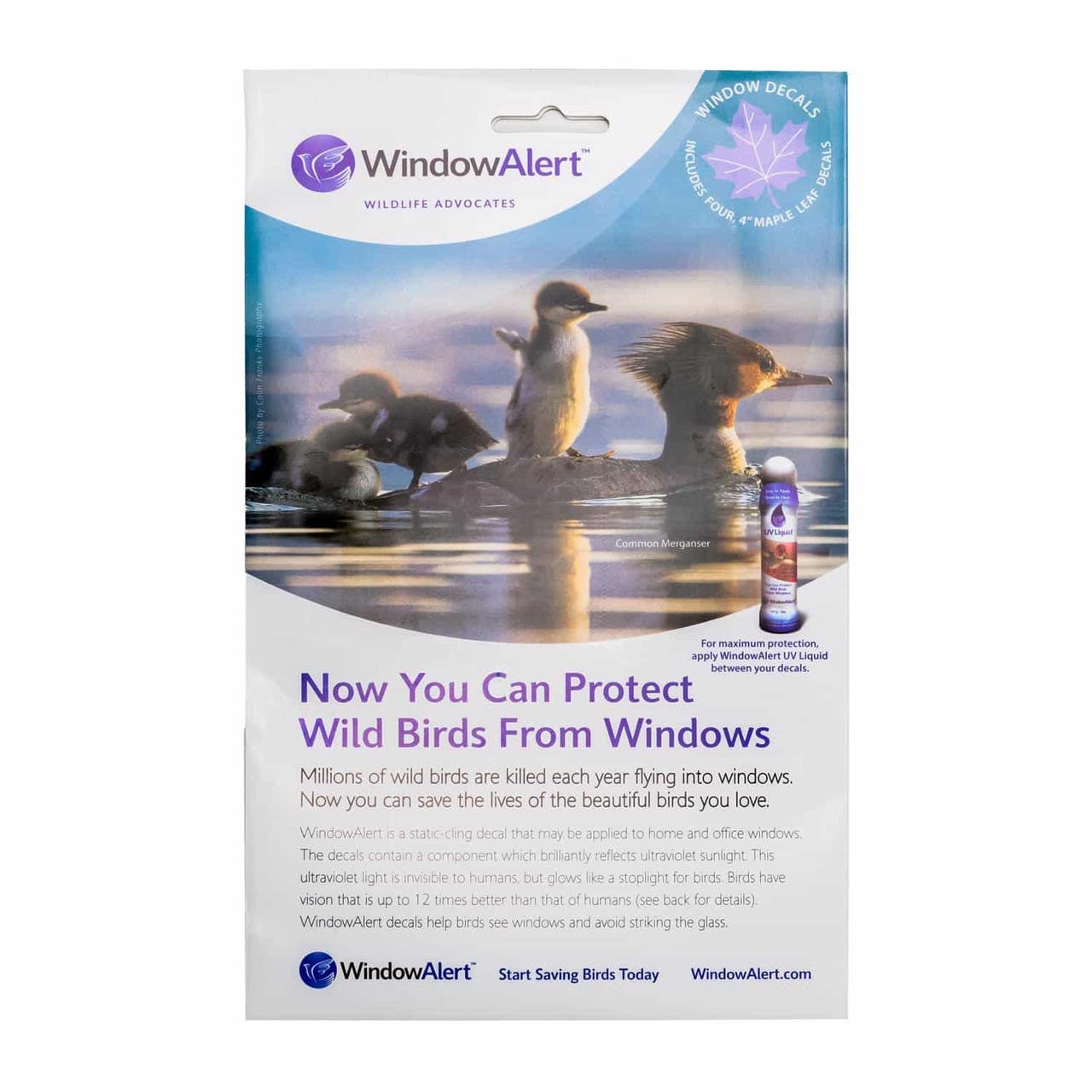 Bird B Gone WINALT-4 Window Alert Decals (4/ Pack)