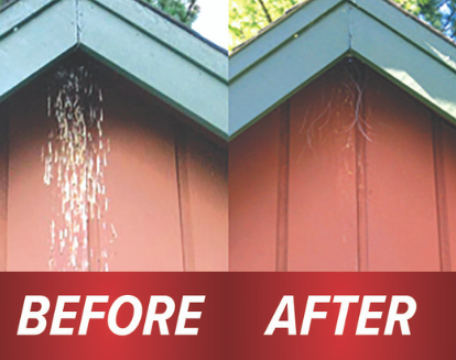 Bird B Gone MMSWALLOW Swallow Shield (2 /Pack)