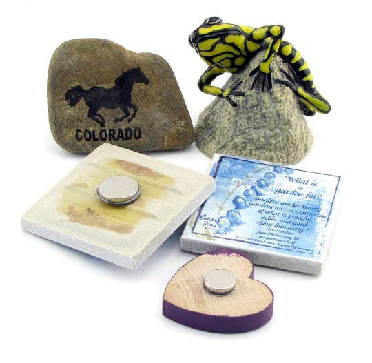 Magnet Source 0752 Neodymium Disc Magnets w/ Adhesive (12pk)