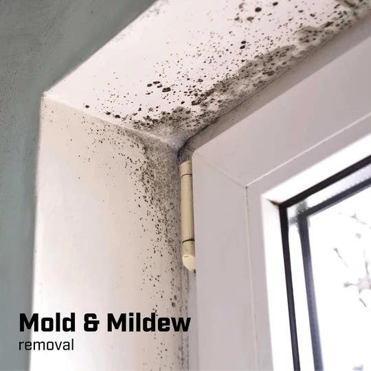 Chapin 20075 1-gallon Bleach Poly Tank Sprayer for Disinfecting