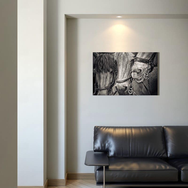 Bain Signature Stallion Printed Canvas Art