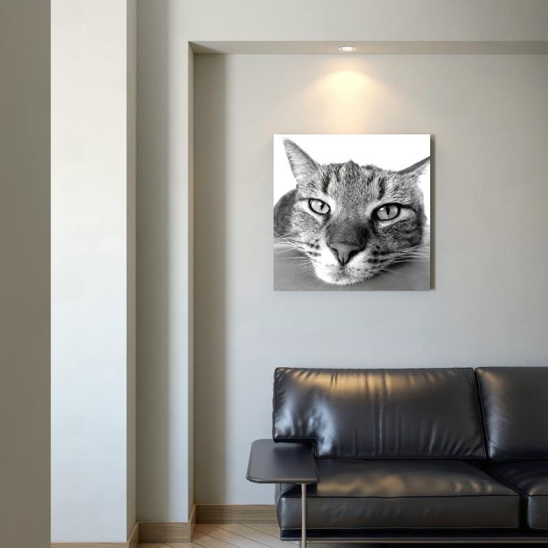 Bain Signature Feline Printed Canvas Art