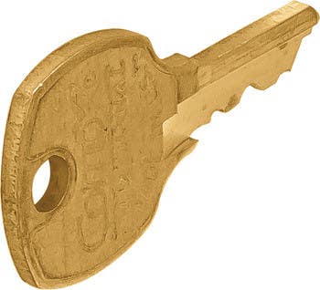 Hafele 210.02.219 Master Key Brass For Disk Cylinder E41A