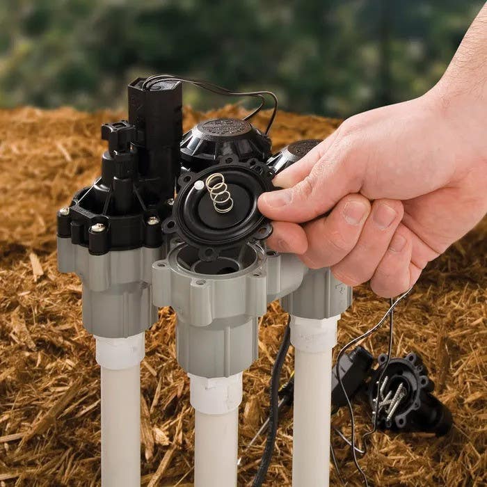Rain Bird DASASVF Sure Flow Auto Anti-Siphon Valve
