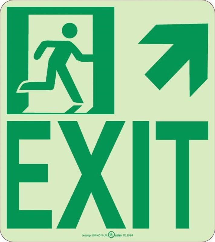 AccuformNMC 50R-6SN 7550 Glo Brite Flex NYC Wall Mount Exit Sign, 24 Hour Glow Plastic