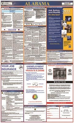 AccuformNMC LLP Labor Law Poster, State And Federal, 40" x 24"