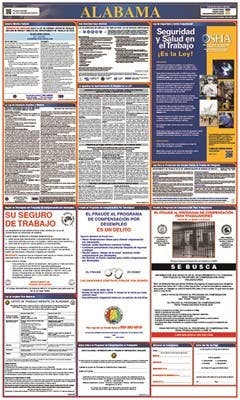 AccuformNMC LLPS Labor Law Poster (Spanish), State And Federal, 40" x 24"