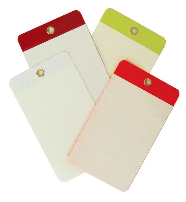 AccuformNMC MDT Safety Tags, Blank Tags, 5-3/4" x 3-1/4", 5/Pk