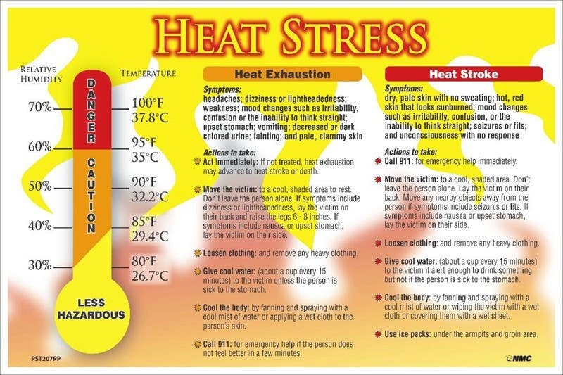 AccuformNMC PST207PP Heat Stress Poster, 12" x 18", Paper, 5/Pk