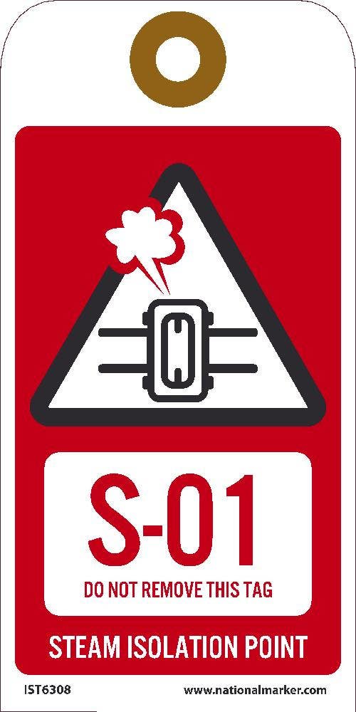 AccuformNMC TDJ Energy Source Identification ShapeID Tag, Steam, 2-1/2" x 2-1/2"