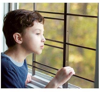 Knape & Vogt 1124 Child Safety Window Guard, 4-Bar