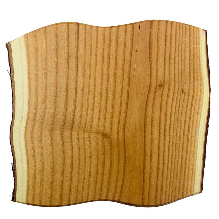 Sierra Lifestyles 682864 Screwless Rustic Double Blank Switchplate