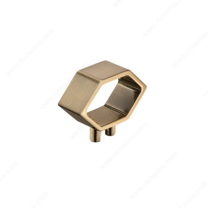 Richelieu 5465 Modern Metal Pull