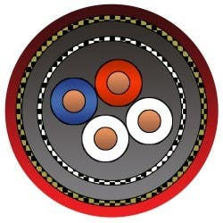 Alpha Communications 2PRJS 2 Twisted Pair Shielded Cable