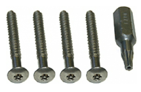 Alpha Communication 10440 4 Panel Tamper Screw with 1 Screwdriver Tip