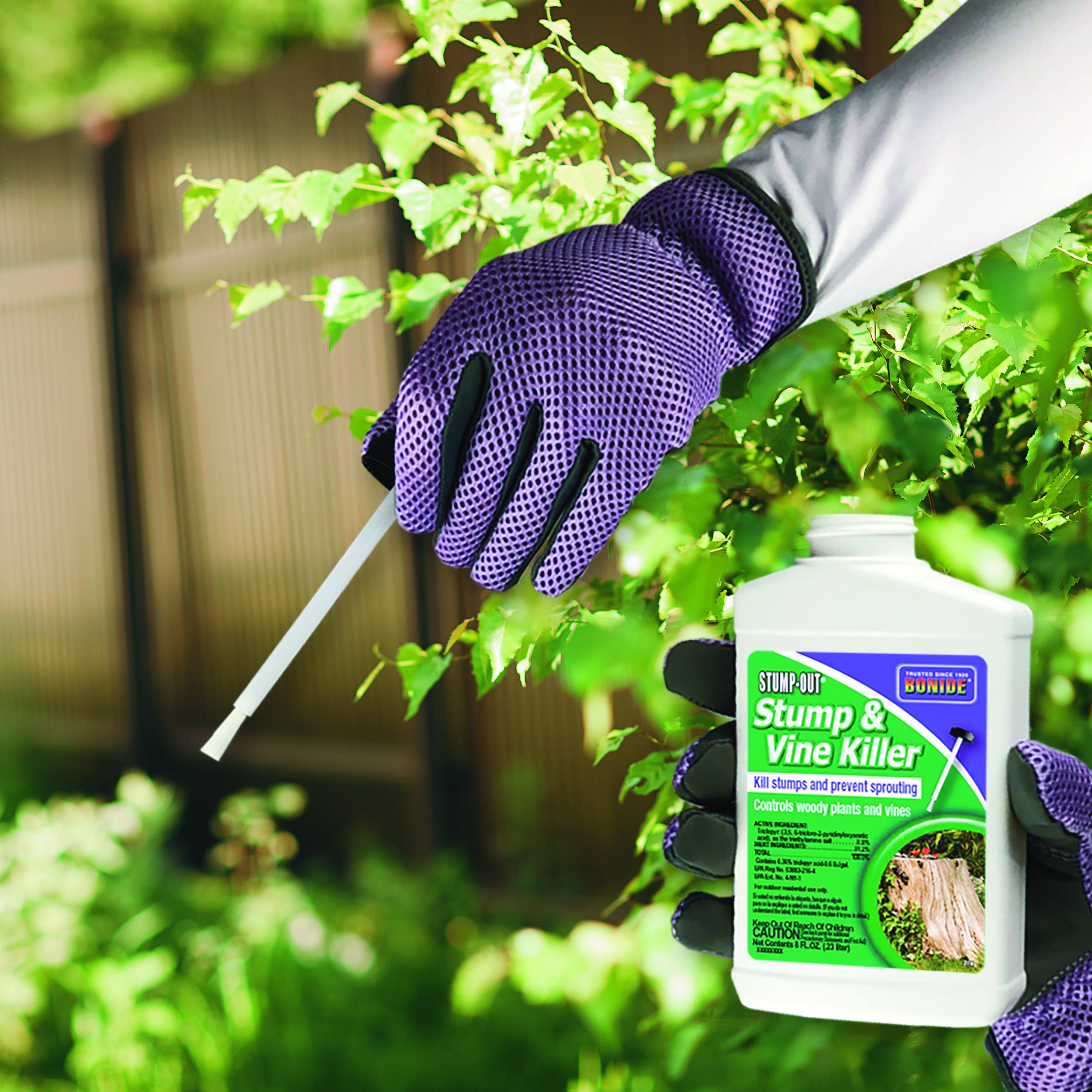 Bonide Products Inc 2746 Stump-Out, Stump & Vine Killer, Concentrate, 8 oz.