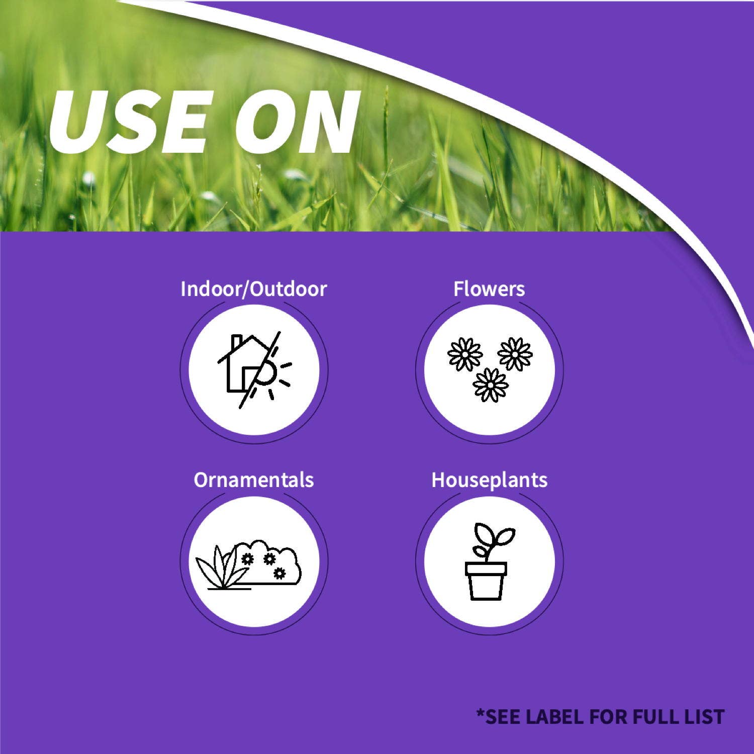 Bonide Products Inc 951 Systemic Houseplant Insect Control, Granules, 8 oz.