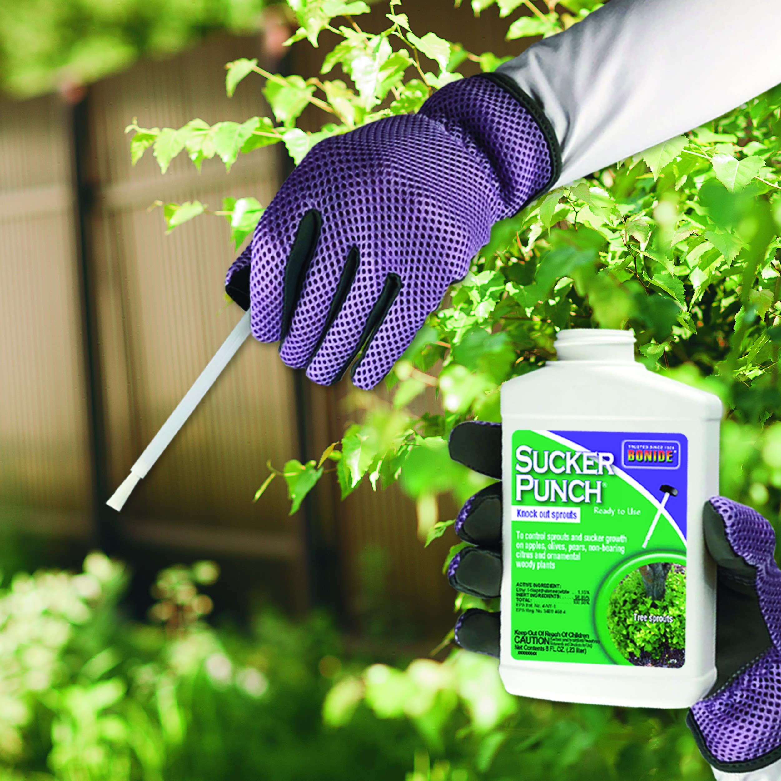 Bonide Products Inc 276 Sucker Punch, Control Sprout & Sucker Growth, Ready-to-Use, 8 oz.