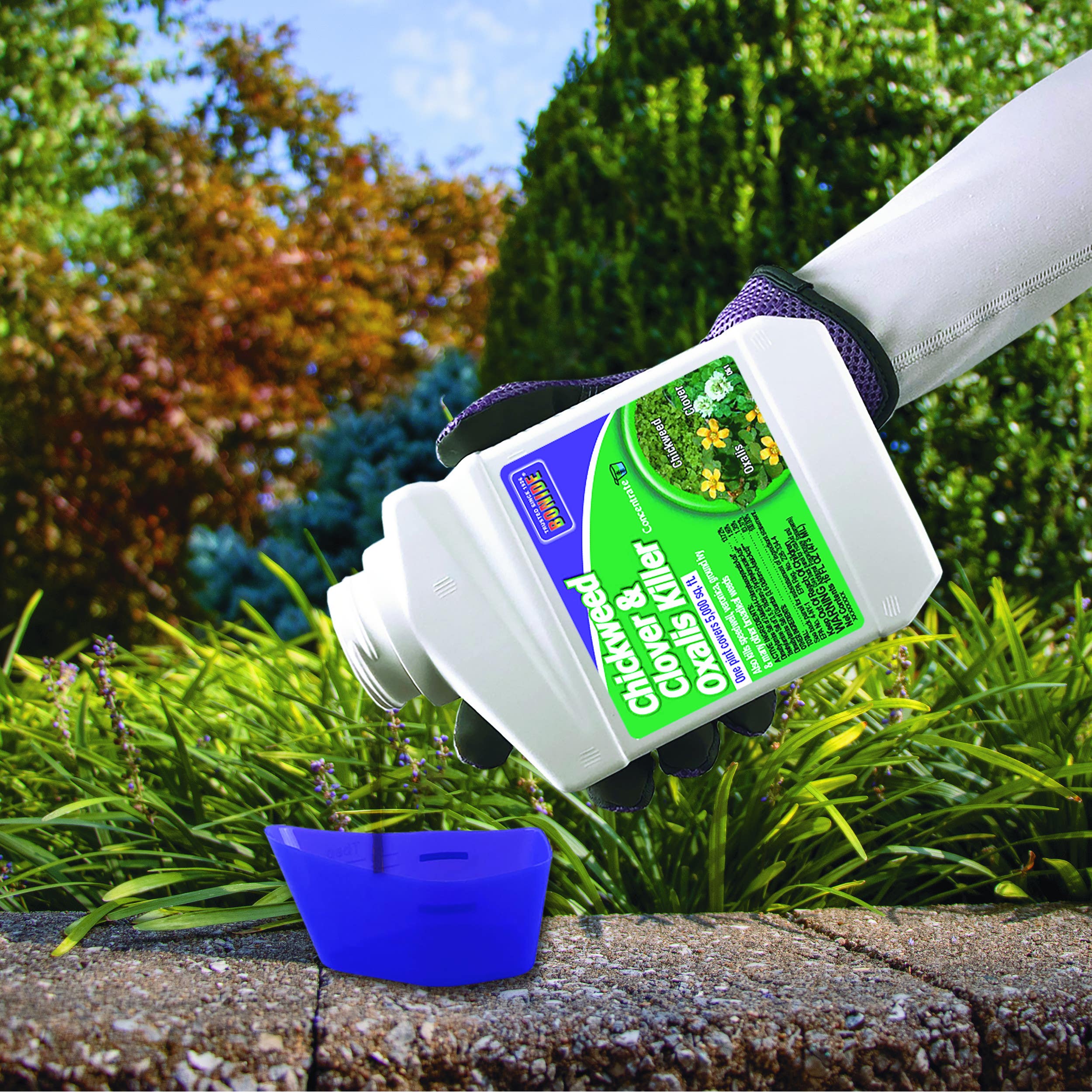 Bonide Products Inc 61 Chickweed, Clover & Oxalis Killer, Concentrate, 16 oz.