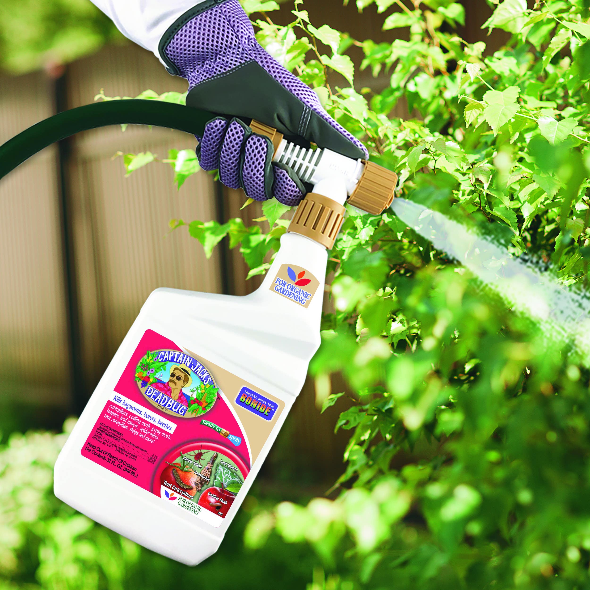 Bonide Products Inc 255 Captain Jack's, DeadBug Brew, Insect Spray, Ready-to-Spray, 32 oz.