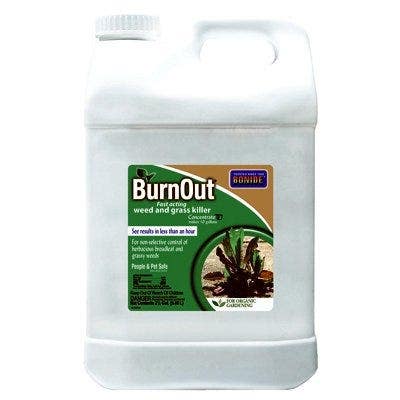 Bonide Products Inc 746 KleenUp, High Efficiency, Weed & Grass Killer, Concentrate