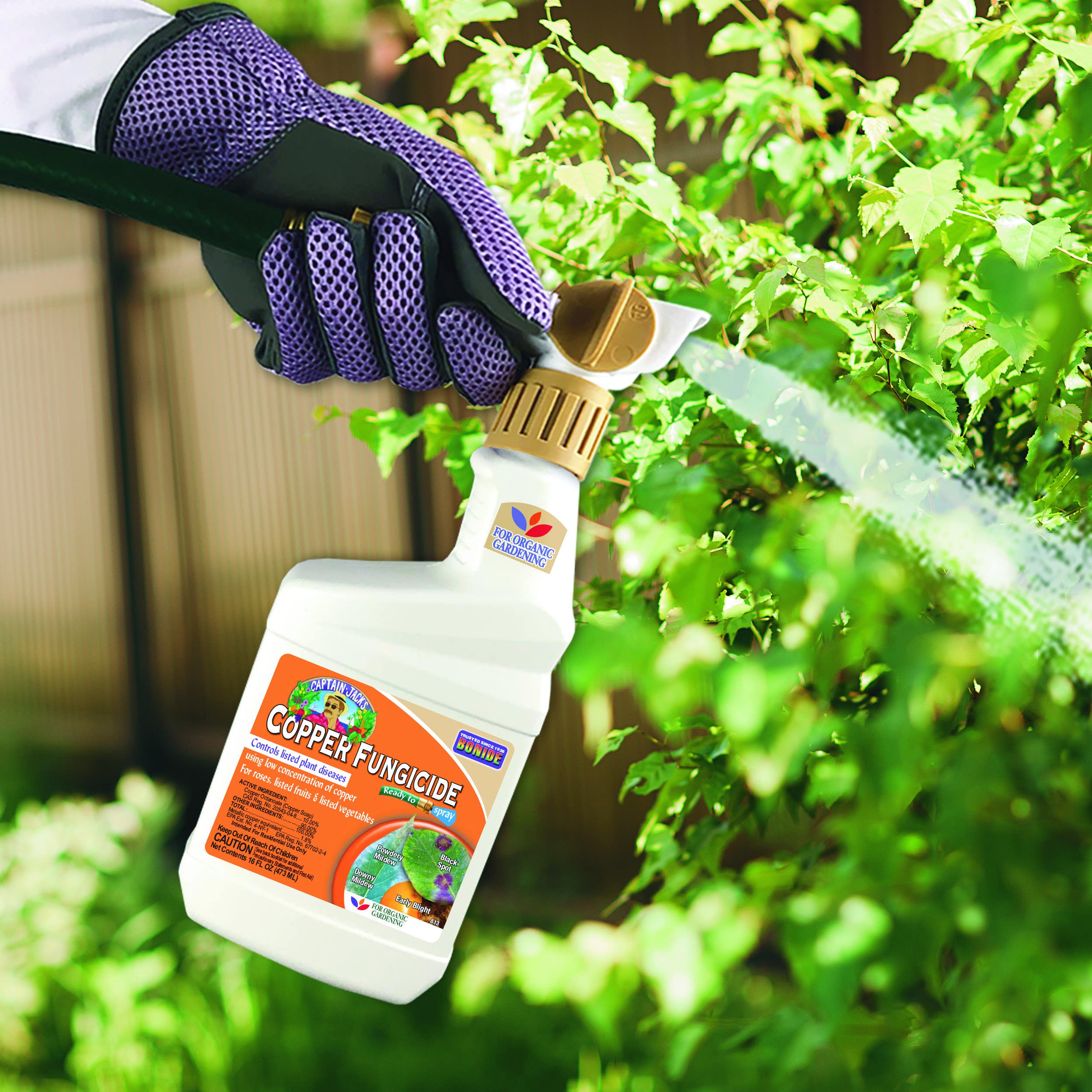 Bonide Products Inc 813 Captain Jack's, Liquid Copper Fungicide, Ready-to-Spray, 16 oz.