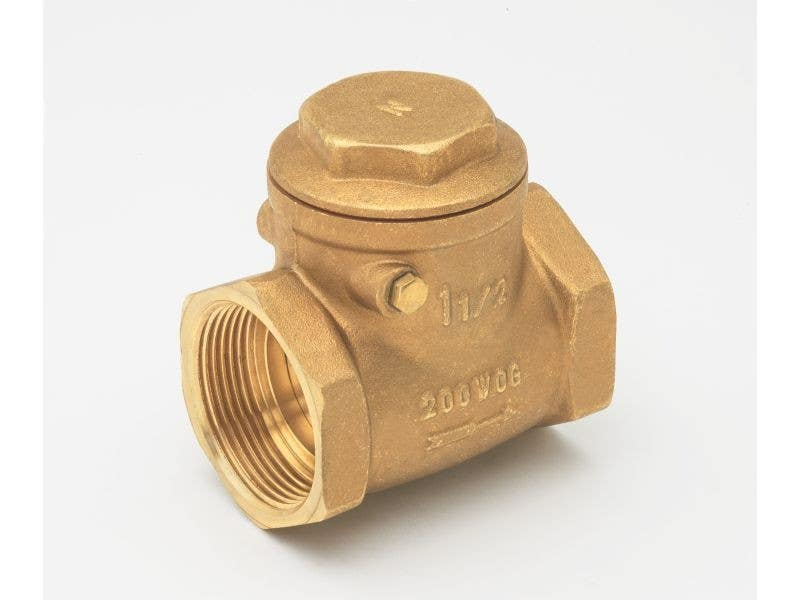 BK Products 101-00 Threaded Swing Check Valve, Lead-Free Brass, 150 PSI