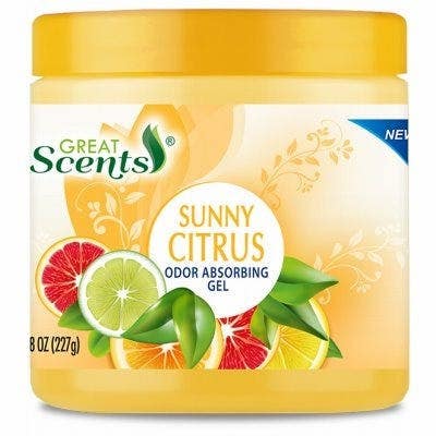 Delta Brands 11933-12 Odor Absorbing Gel Sunny Citrus