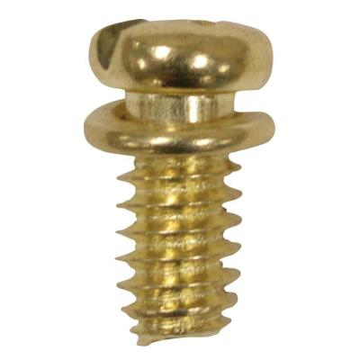 Westinghouse 77047 Brass Motor Screw Kit, 10-Pk