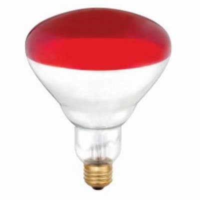 Westinghouse 0397948 Heat Lamp, Medium Base, 250W, R40, Red, 6-Pk